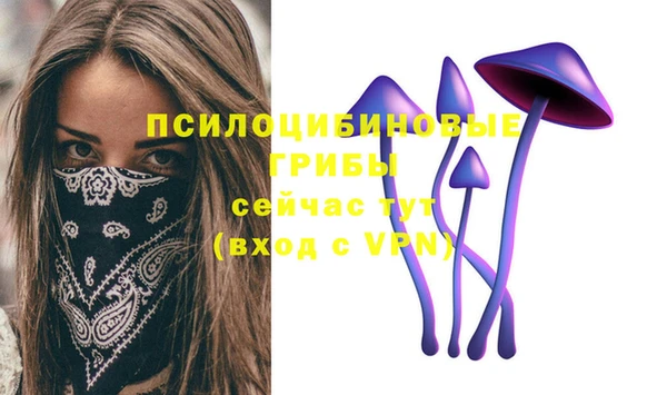 метадон Алексин