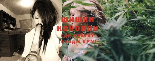 ГАЛЛЮЦИНОГЕННЫЕ ГРИБЫ Алексеевка