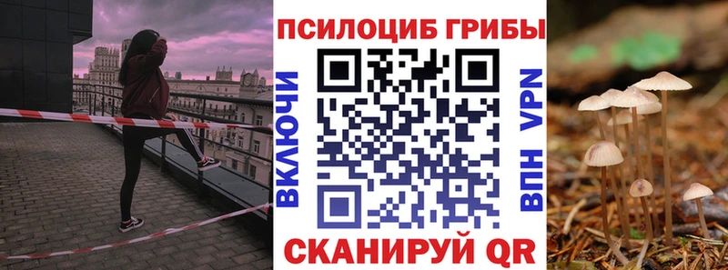 Псилоцибиновые грибы Cubensis OMG рабочий сайт Шатура