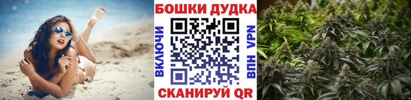 Бошки марихуана план  магазин    кракен как войти  Шатура 